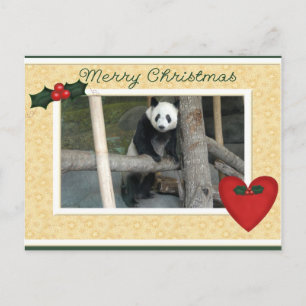 Cartão Postal De Festividades Cartão do Natal do urso de panda gigante ou da