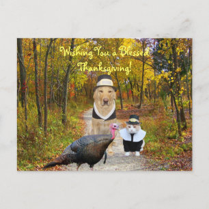 Cartão Postal De Festividades Cartão engraçado customizável da acção de gra