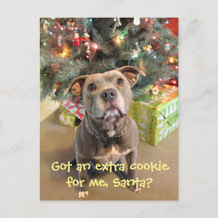 Cartão Postal De Festividades Cartão extra do Natal do biscoito de Pitbull