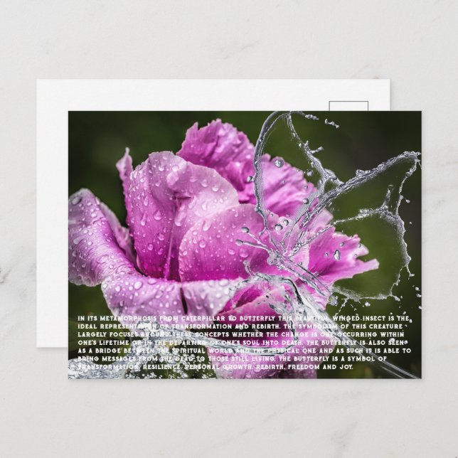 Cartão Postal De Festividades Cartão-postal Butterfly (Frente/Verso)