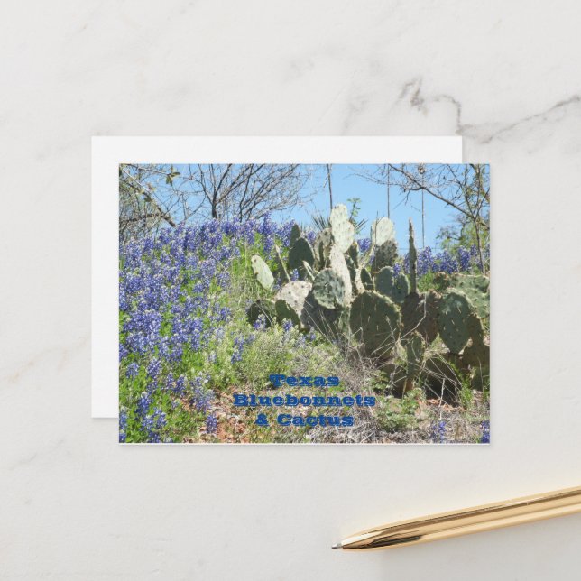 Cartão Postal De Festividades Cartão-postal Country Texas Bluebonnets e Cactus (Frente/Verso In Situ)