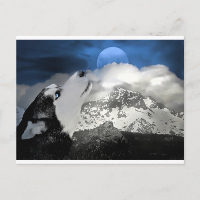 Cartão Postal De Festividades Cartão-postal de feriado de Rouco bonito (Frente)