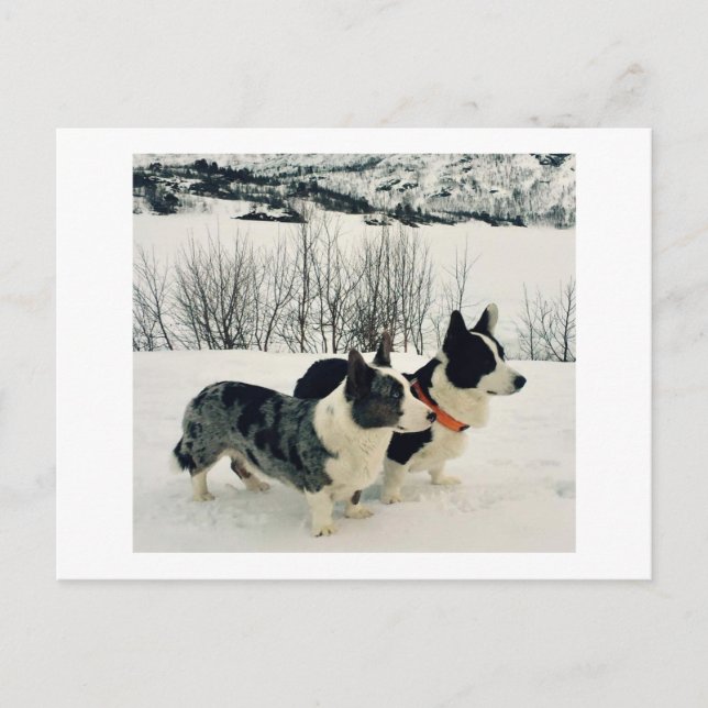 Cartão Postal De Festividades Cartão-postal de férias bonito (Frente)