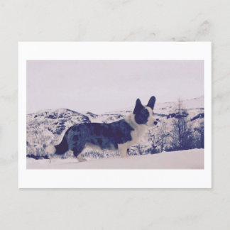 Cartão Postal De Festividades Cartão-postal de Férias de Neve