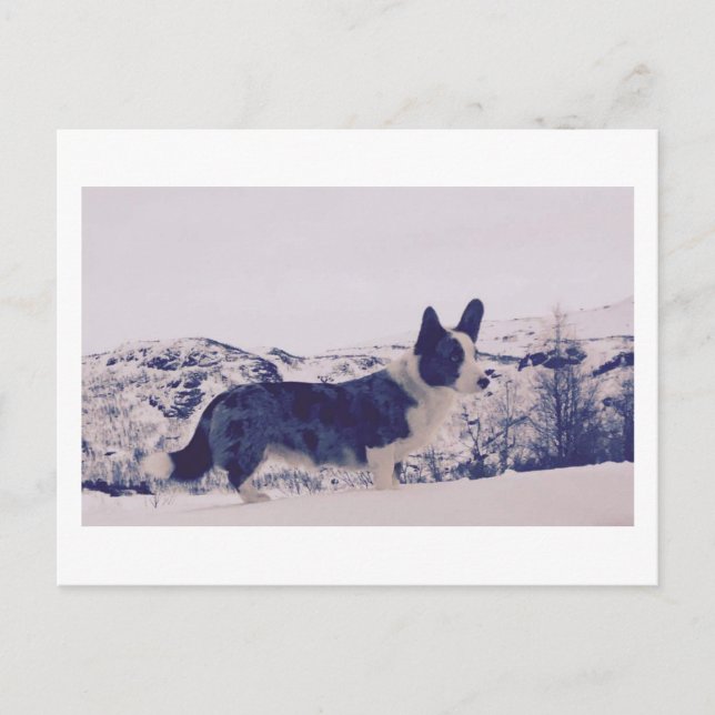 Cartão Postal De Festividades Cartão-postal de Férias de Neve (Frente)