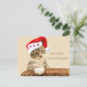 Cartão Postal De Festividades Cartão-postal de Férias Mágicas