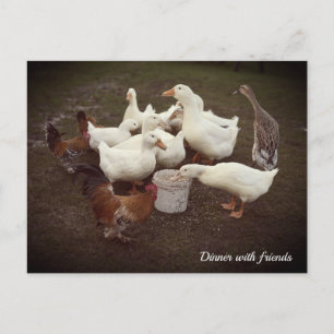 Cartão Postal De Festividades Cartão-postal de Janto Engraçado Patos e Galinhas