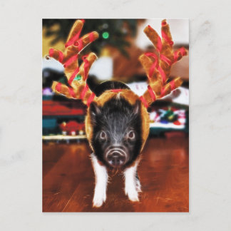 Cartão Postal De Festividades Cartão-postal de Natal