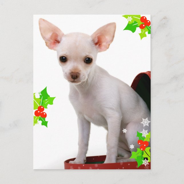 Cartão Postal De Festividades Cartão-postal de Natal Chihuahua (Frente)