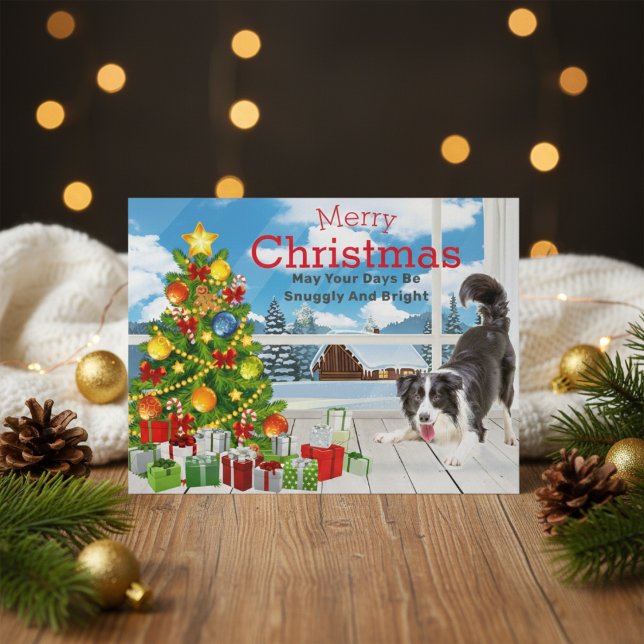 Cartão Postal De Festividades Cartão-postal de Natal de Borda Collie (Border Collie Christmas Greeting Holiday Postcard)