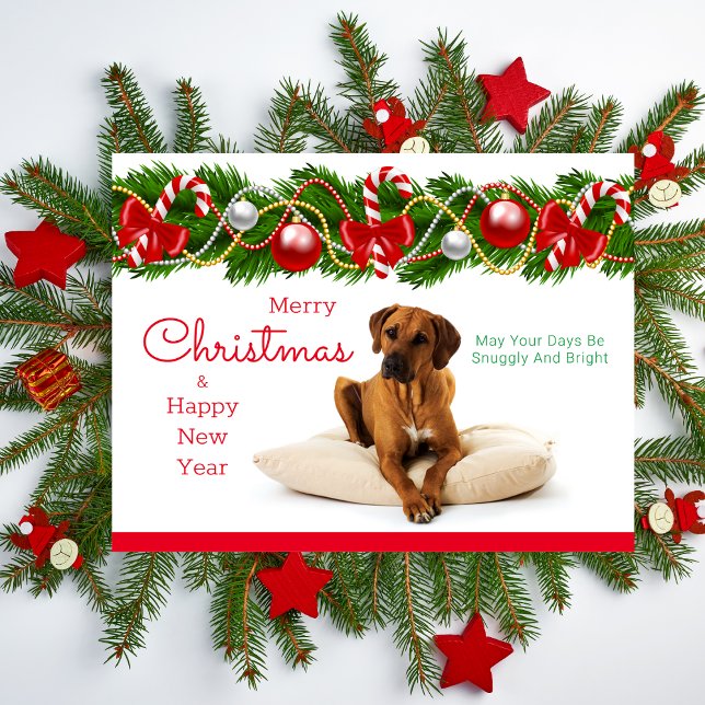 Cartão Postal De Festividades Cartão-postal de Natal Festivo Ridgeback (Rhodesian Ridgeback Christmas Card)