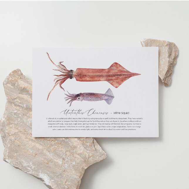 Cartão Postal De Festividades Cartão-postal de pilha (Criador carregado)