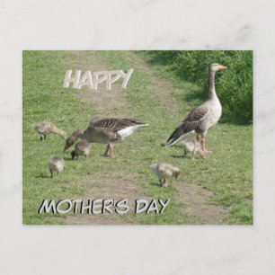 Cartão Postal De Festividades Cartão-postal do Dia de as mães Feliz da Família G