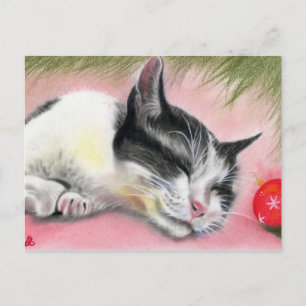 Cartão Postal De Festividades Cartão-postal Feliz de Gatinho de Natal