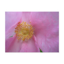 Cartão-postal Feriado