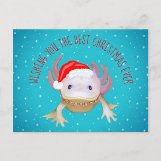 Cartão Postal De Festividades Cartão-postal Feriado