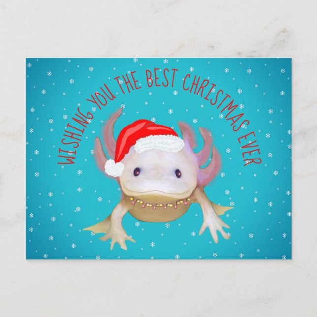 Cartão Postal De Festividades Cartão-postal Feriado (Frente)