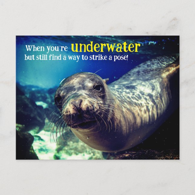 Cartão Postal De Festividades Cartão-postal Feriado (Frente)