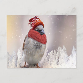 Cartão Postal De Festividades Cartão-postal festivo de férias