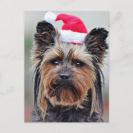 Cartão Postal De Festividades Cartão-postal festivo de férias