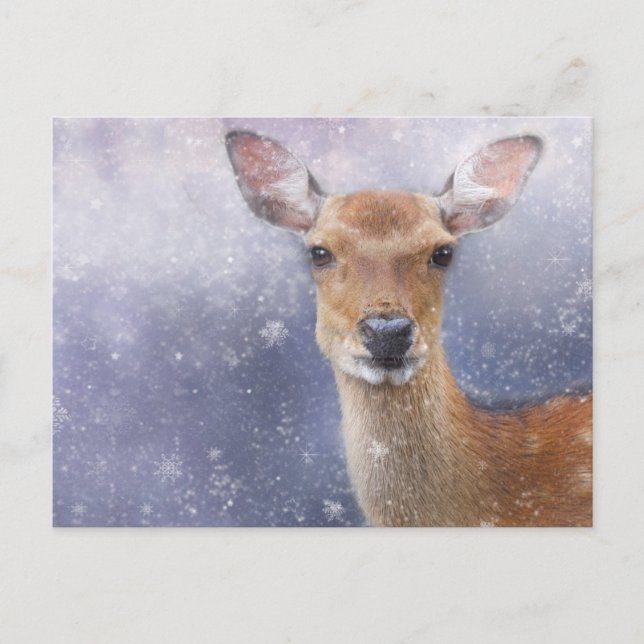 Cartão Postal De Festividades Cartão-postal festivo de férias (Frente)