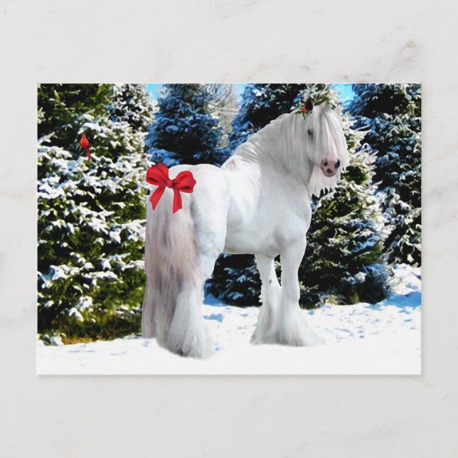 Cartão Postal De Festividades Cartão-postal "Noel" (Frente)