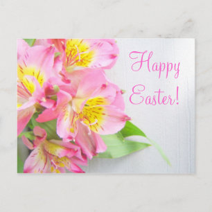 Cartão Postal De Festividades Cartão-postal rosa páscoa