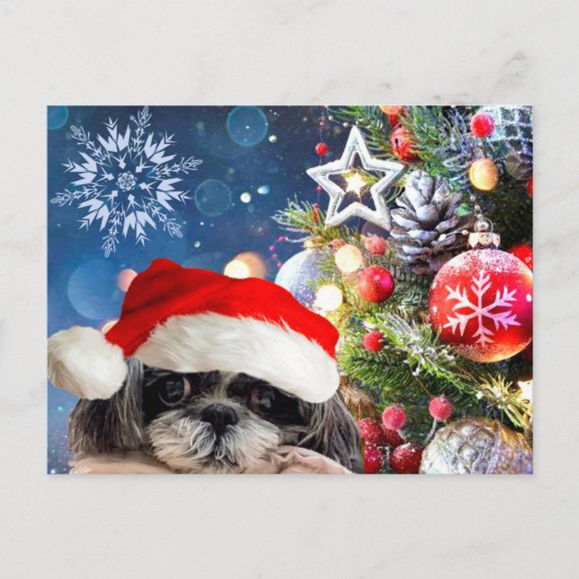 Cartão Postal De Festividades Cartão-postal Shih Tzu, Papais noeis de Natal (Frente)