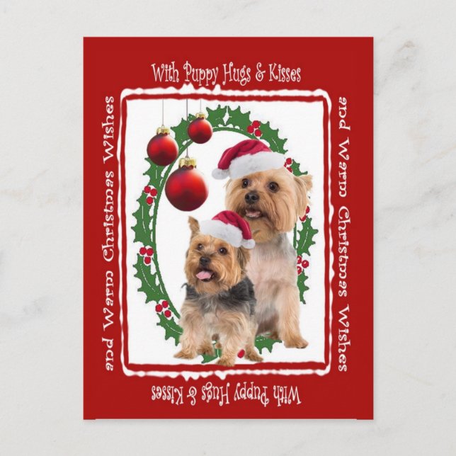 Cartão Postal De Festividades Cartão-postal Silky Terrier Christmas Hugs e Kisse (Frente)