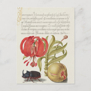 Cartão Postal De Festividades Cartão-postal Vintage Botanical Illustration Holid