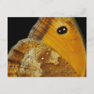 Cartão Postal De Festividades Cartão-postal Wing Butterfly