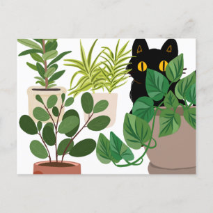 Cartão Postal De Festividades Cartaz de Black Cat and Plant