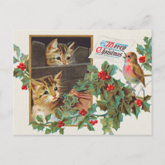 Cartão Postal De Festividades Cartaz de férias para gatos e aves