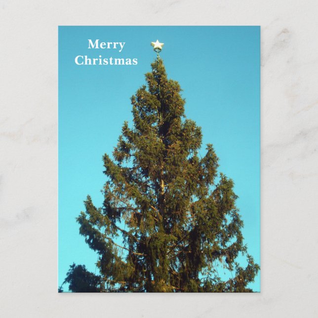 Cartão Postal De Festividades Cartaz de Natal na Praça de Tralgar (Frente)