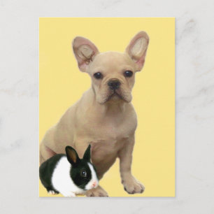 Cartão Postal De Festividades Cartaz do Buldogue francês do felz pascoa