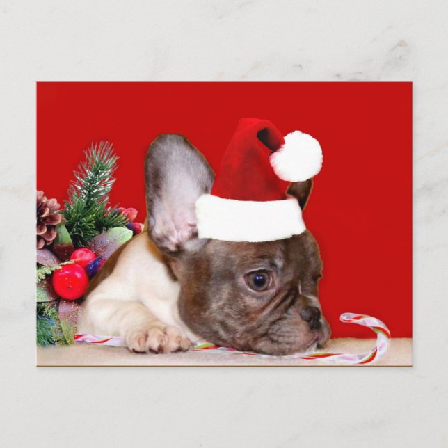 Cartão Postal De Festividades Cartaz do Buldogue francês natalino (Frente)