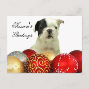 Cartão Postal De Festividades Cartaz do Bulldog Francês para Saudações da Época