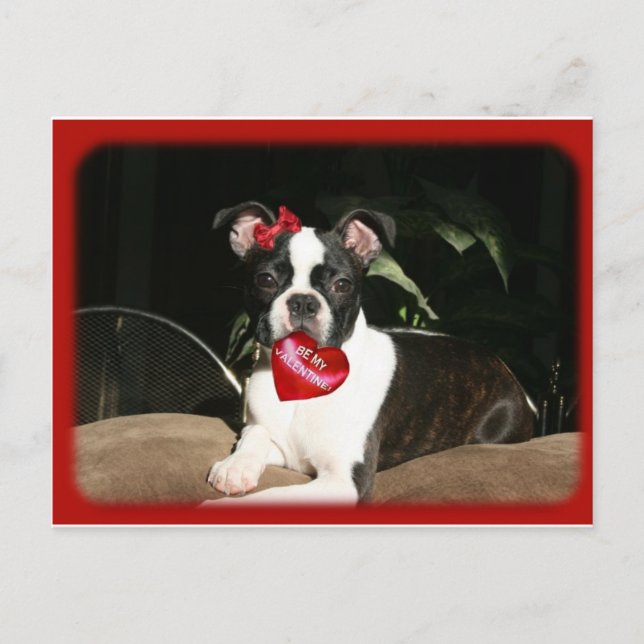 Cartão Postal De Festividades cartões: vaia dos namorados (Frente)