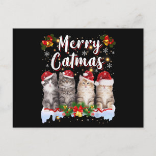 Cartão Postal De Festividades Cat Christmas Santa Hat Engraçado Feliz Catmas