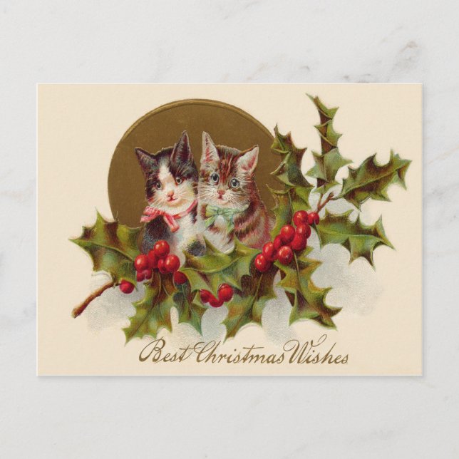 Cartão Postal De Festividades Cat Kitten Holly Winterberry (Frente)