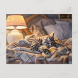 Cartão Postal De Festividades Cat lounging on couch with blanket and lamp