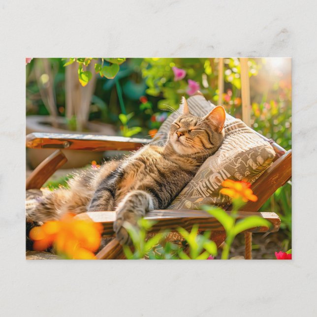 Cartão Postal De Festividades Cat sleeping in garden chair among flowers (Frente)