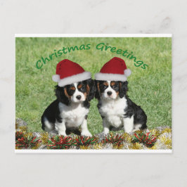 Cartão Postal De Festividades Cavaleiros Em Santa Hats
