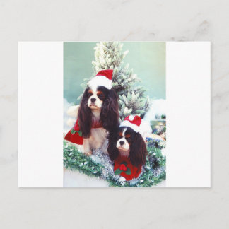 Cartão Postal De Festividades Cavaleiros no Natal