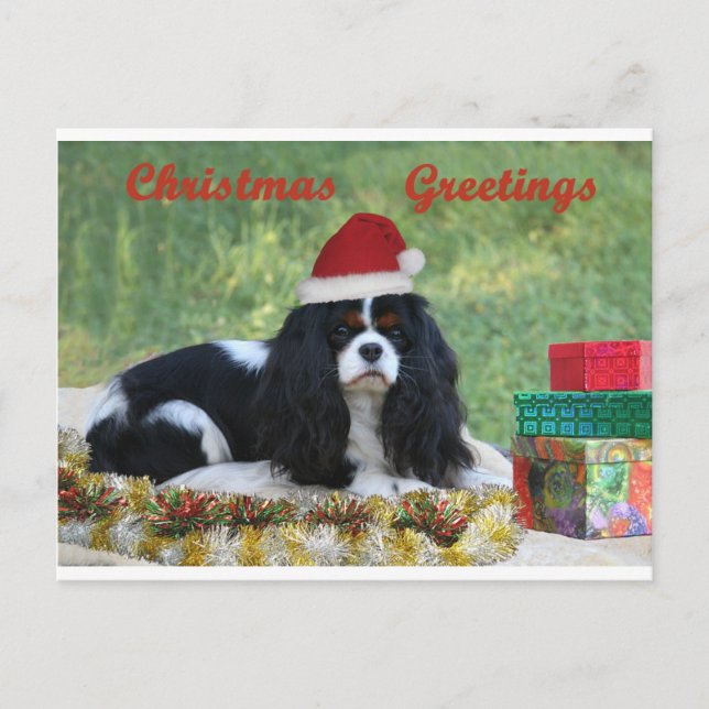 Cartão Postal De Festividades Cavalier Christmas Card (Frente)