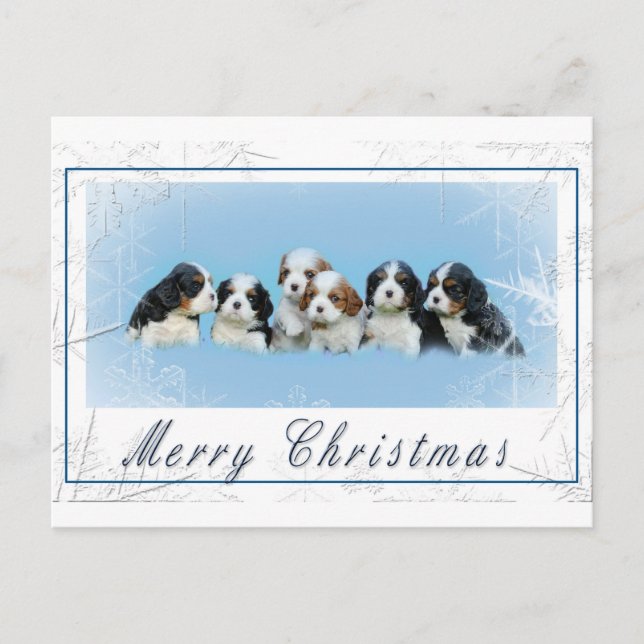 Cartão Postal De Festividades Cavalier King Charles Spaniel Natal (Frente)
