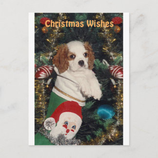 Cartão Postal De Festividades Cavalier Puppy Na Parada De Natal