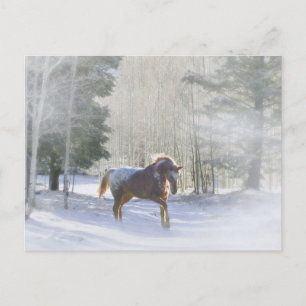 Cartão Postal De Festividades Cavalo Appaloosa nas Saudações da Estação da Neve