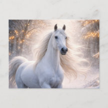 Cavalo Branco Neve Natal Saudações de Temporada