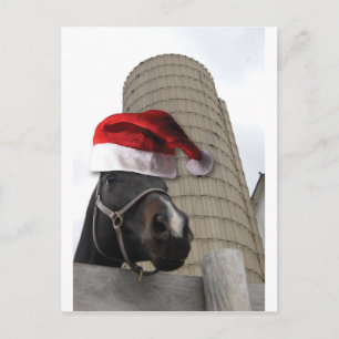 Cartão Postal De Festividades Cavalo de Fazenda de Natal